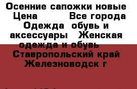 Осенние сапожки новые › Цена ­ 600 - Все города Одежда, обувь и аксессуары » Женская одежда и обувь   . Ставропольский край,Железноводск г.